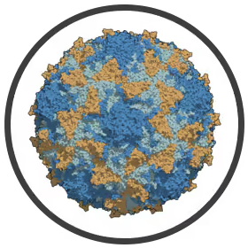 polio